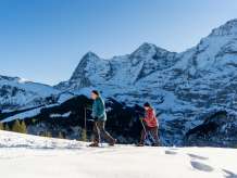 Hiking on snowshoes through the snow-covered landscape on a sunny day. The snowshoe trail in Mürren offers a unique view of the Eiger, Mönch, and Jungfrau.