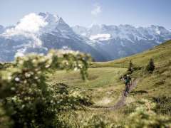 Ein Biker geniesst den Mountain View Trail in Mürren für sich alleine. Er durchquert eine grüne Wiesenlandschaft, und hat Aussicht auf ein verschneites Bergpanorama.