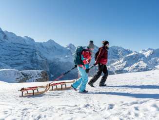 The sled is pulled up the Männlichen to the starting point.