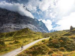 Road cyclists on the road to the Grosse Scheidegg, with a view of the Wetterhorn and the Alpine landscape.
