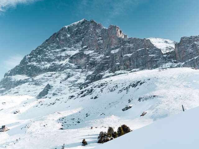 Kleine Scheidegg and Top of Europe