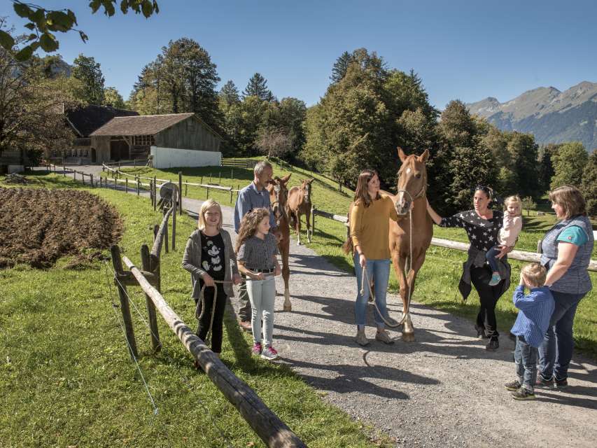 25% Rabatt: Eintritt Freilichtmuseum Ballenberg 
