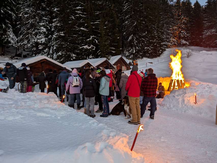 Christmas in the Forest