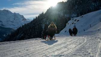 Luge et vélo des neiges
