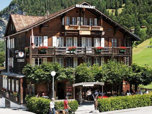 Hôtel Steinbock