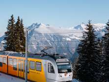 Der Zug der BLM fährt durch die verschneite Landschaft zwischen Grütschalp und Mürren. Die Strecke führt vorbei an tief verschneiten Tannen und Schneehängen, mit Ausblick auf die umliegende Bergwelt.