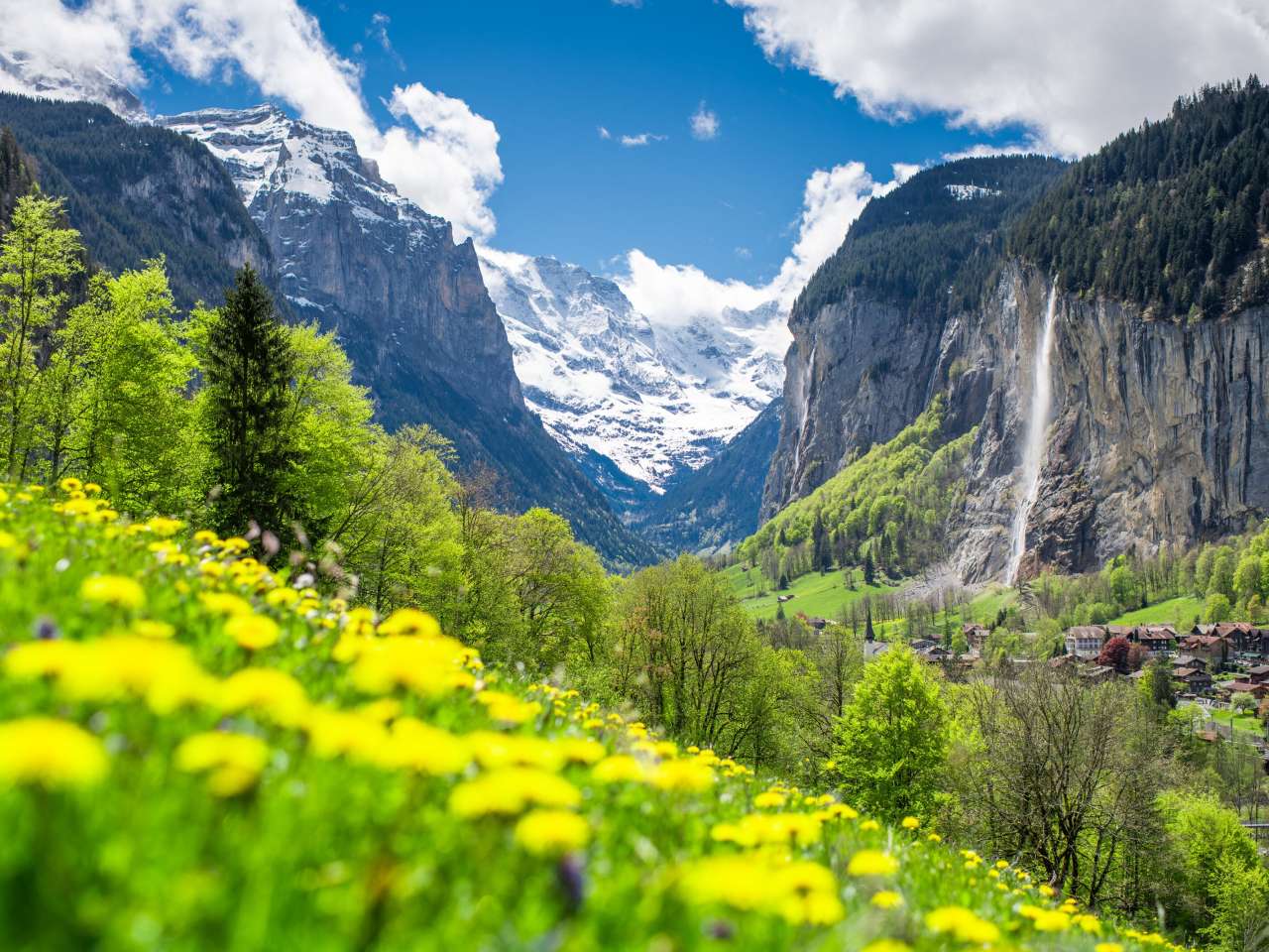 La vallée de Lautberunnental en arrière-plan, avec de jolies fleurs au premier plan