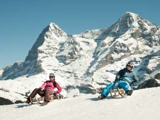 Sledding in Mürren with a view of the "Dreigestirn"—the Eiger, Mönch, and Jungfrau.