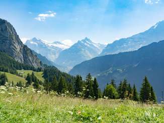Schynige Platte