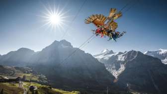 First Glider Sommer