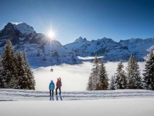 Winterwanderung auf verschneiten Winterwanderwegen rund um Grindelwald. Die Wanderer geniessen den sonnigen Tag und imposanten Ausblick auf den Eiger.