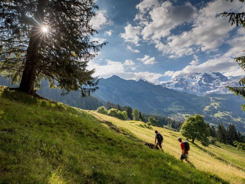Jungfrau Hiking Tour