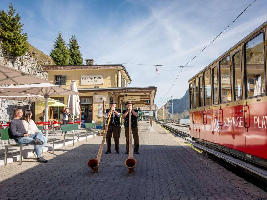 Schynige Platte