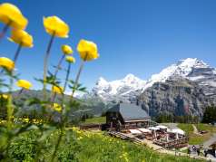 The Allmendhube Panorama Restaurant and the Flower Park adventure playground in the summer, set against a stunning mountain backdrop.