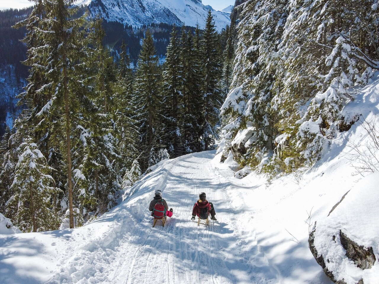 Unterwegs mit dem Schlitten auf dem Schlittelweg Sulwald. Der Schlittelweg führt einen Teil durch den verschneiten Winterwald.