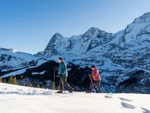 Hiking on snowshoes through the snow-covered landscape on a sunny day. The snowshoe trail in Mürren offers a unique view of the Eiger, Mönch, and Jungfrau.