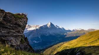 "First View" vantage platform