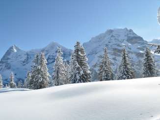An unspoiled winter landscape on the Chänelegg with views of the Eiger, Mönch, and Jungfrau.