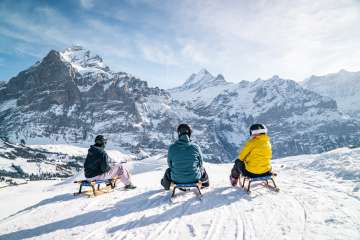 Three people are sitting on sleds on Sled Run No. 53 from First to Schreckfeld, looking out over the snow-covered mountain landscape. The photo shows them from behind, with an unobstructed view of the panorama. In the background, several snow-capped peaks rise against a clear sky.