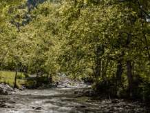 A clear mountain stream flows over rocks through a densely vegetated riverside landscape. Trees cast shade over the water, while a green meadow borders the stream bed on the left.