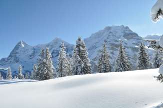 An unspoiled winter landscape on the Chänelegg with views of the Eiger, Mönch, and Jungfrau.