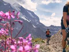 Zwei Gravelbike Fahrer*inne fahren am Fallbodensee entlang. Im Vordergrund sind violette Blumen zu sehen.