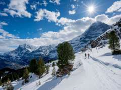 Winter hike on snow-covered trails around Grindelwald. Hikers enjoy the sunny day and the breathtaking view of the Eiger.