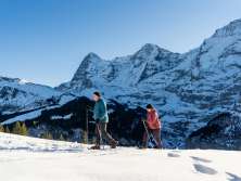 Unterwegs in der verschneiten Landschaft bei sonnigem Wetter mit den Schneeschuhen. Der Schneeschuhtrail in Mürren bietet eine einmalige Sicht auf Eiger, Mönch und Jungfrau.