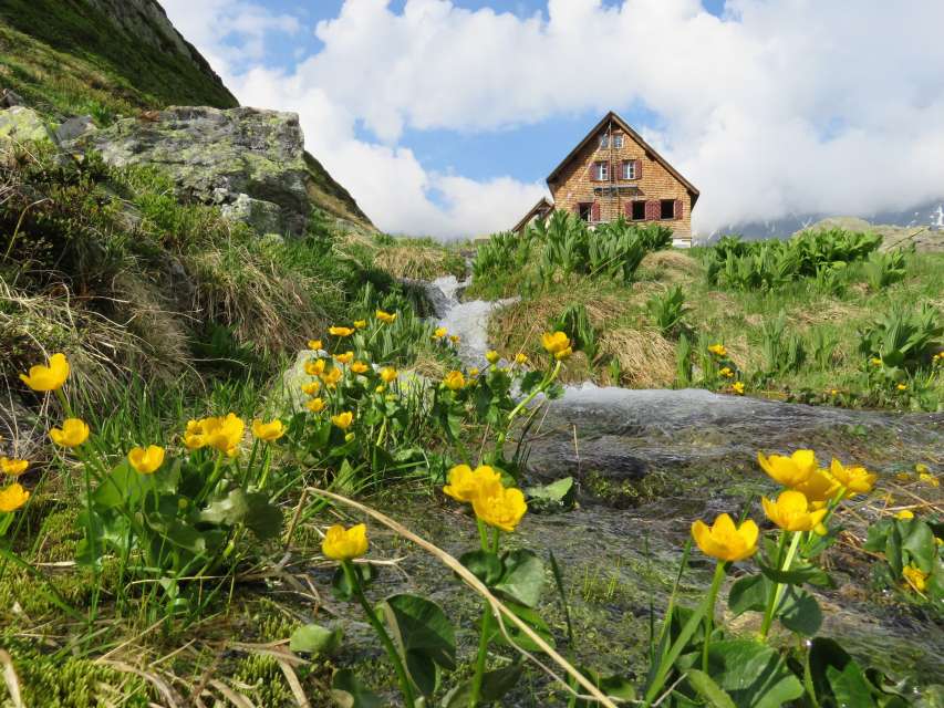 Spring is coming