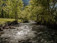 Ein klarer Bergbach fliesst über Steine durch eine dicht bewachsene Uferlandschaft. Bäume spenden Schatten über dem Wasser, während links eine grüne Wiese an das Bachbett grenzt.