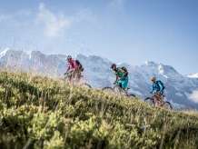 Three cyclists are riding uphill across a mountain meadow. Behind them, a white mountain panorama can be seen.