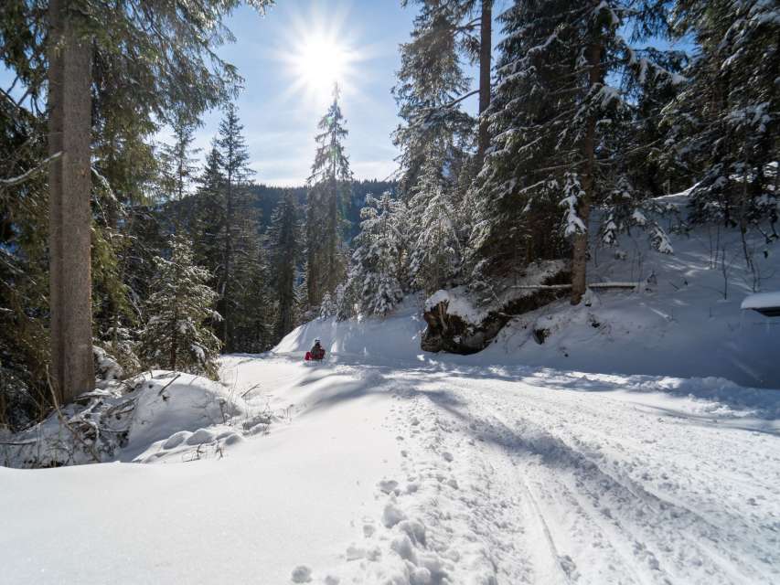 Winter sports report