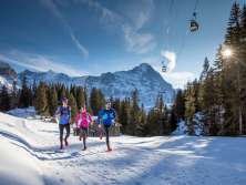 Läufer*innen beim Winter Trail Running entlang der Firstbahn  in Grindelwald. Im Hintergrund der Eiger.