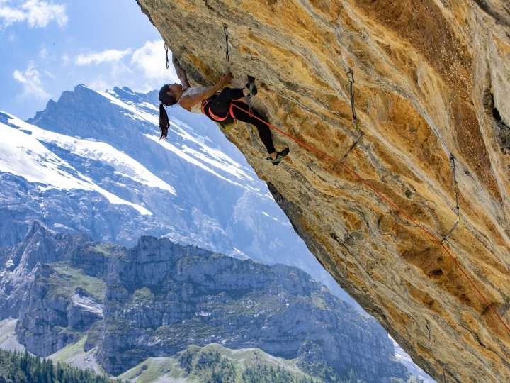 Gimmelwald climbing garden