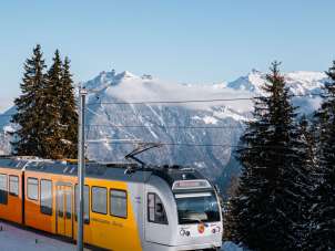 The BLM train travels through the snow-covered landscape between Grütschalp and Mürren. The route passes by fir trees deep in snow and snow-covered slopes, offering views of the surrounding mountains.