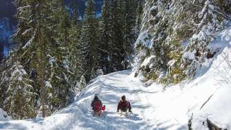 Pistes de luge