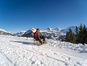 Balade en luge sur la piste de luge de Sulwald. Vue sur le panorama montagneux : l'Eiger, le Mönch et la Jungfrau.