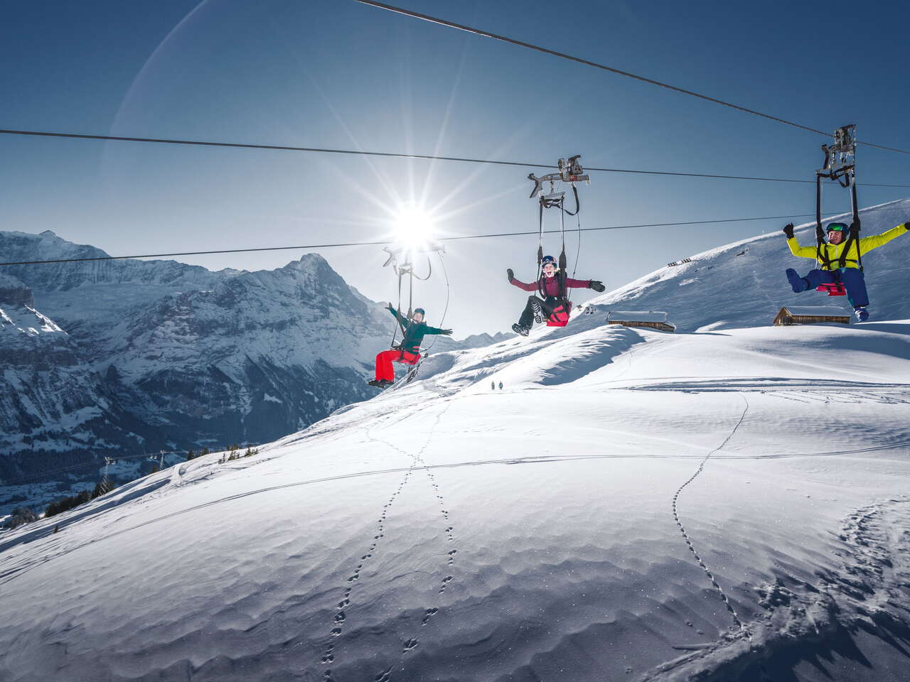 Drei Personen rasen mit dem First Flyer den Berg hinunter. Im Hintergrund scheint die Sonne über dem verschneiten Eiger.