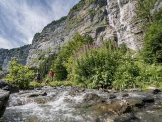 The hikers and the dog cross the mountain stream during their hike in the Lauterbrunnen Valley. In the background, steep rock faces rise toward the sky.